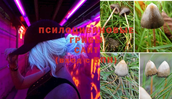 наркотики Абинск