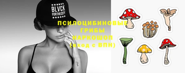 стаф Алексин