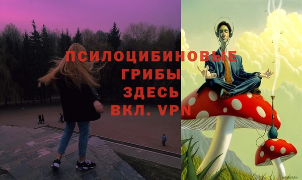 spice Алзамай