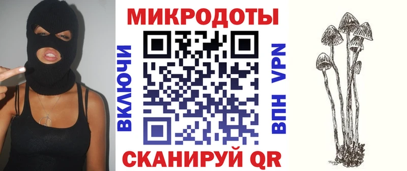 где продают   Норильск  Псилоцибиновые грибы Magic Shrooms 