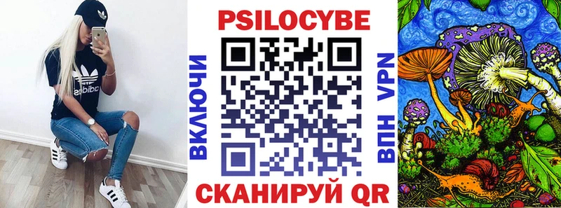 Галлюциногенные грибы Psilocybe Норильск