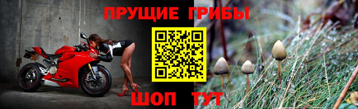 Псилоцибиновые грибы ЛСД  Псилоцибиновые грибы Psilocybine cubensis  Норильск  Вход с VPN 